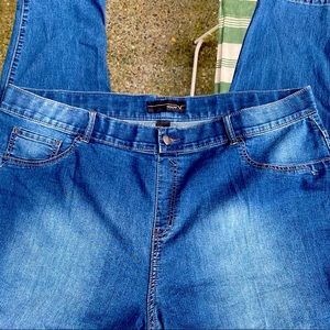 ✨3/$10✨ Venezia Plus Size Denim Jeans Sz 28